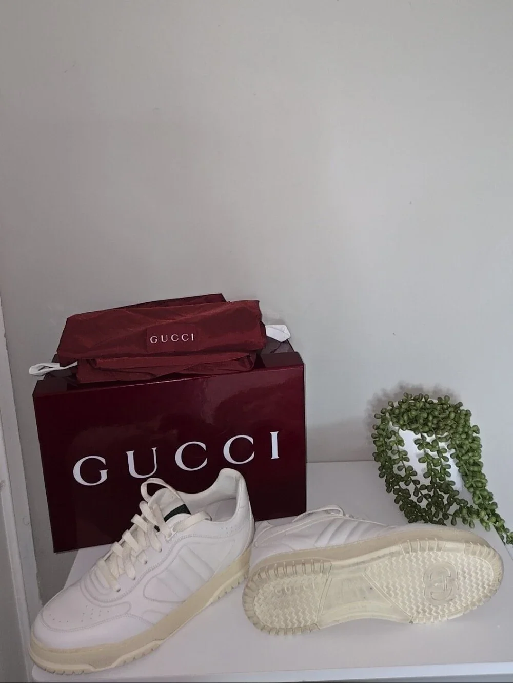 Gucci White Leather Sneakers with Burgundy Box and Dust Bag
